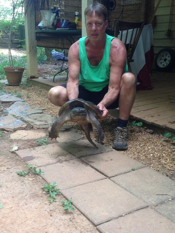 Matthew Field relocating a snapping turtle